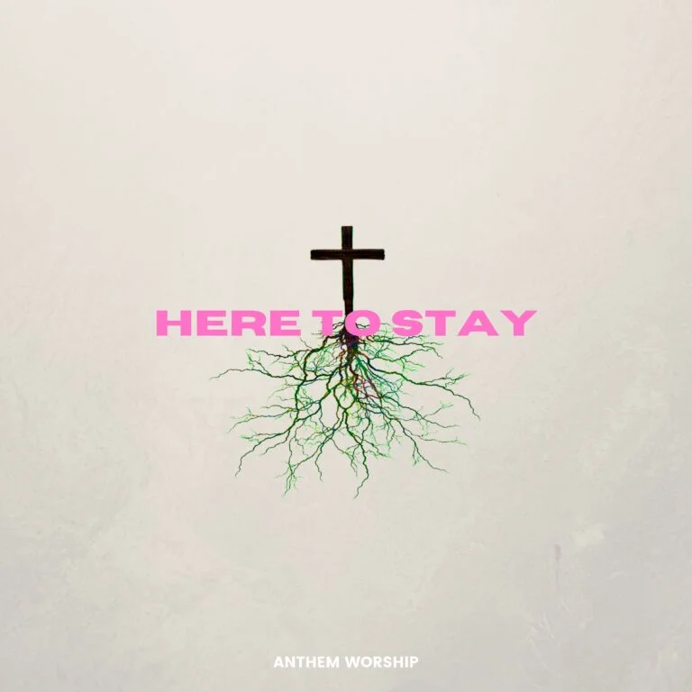 Here to Stay Studio Cover