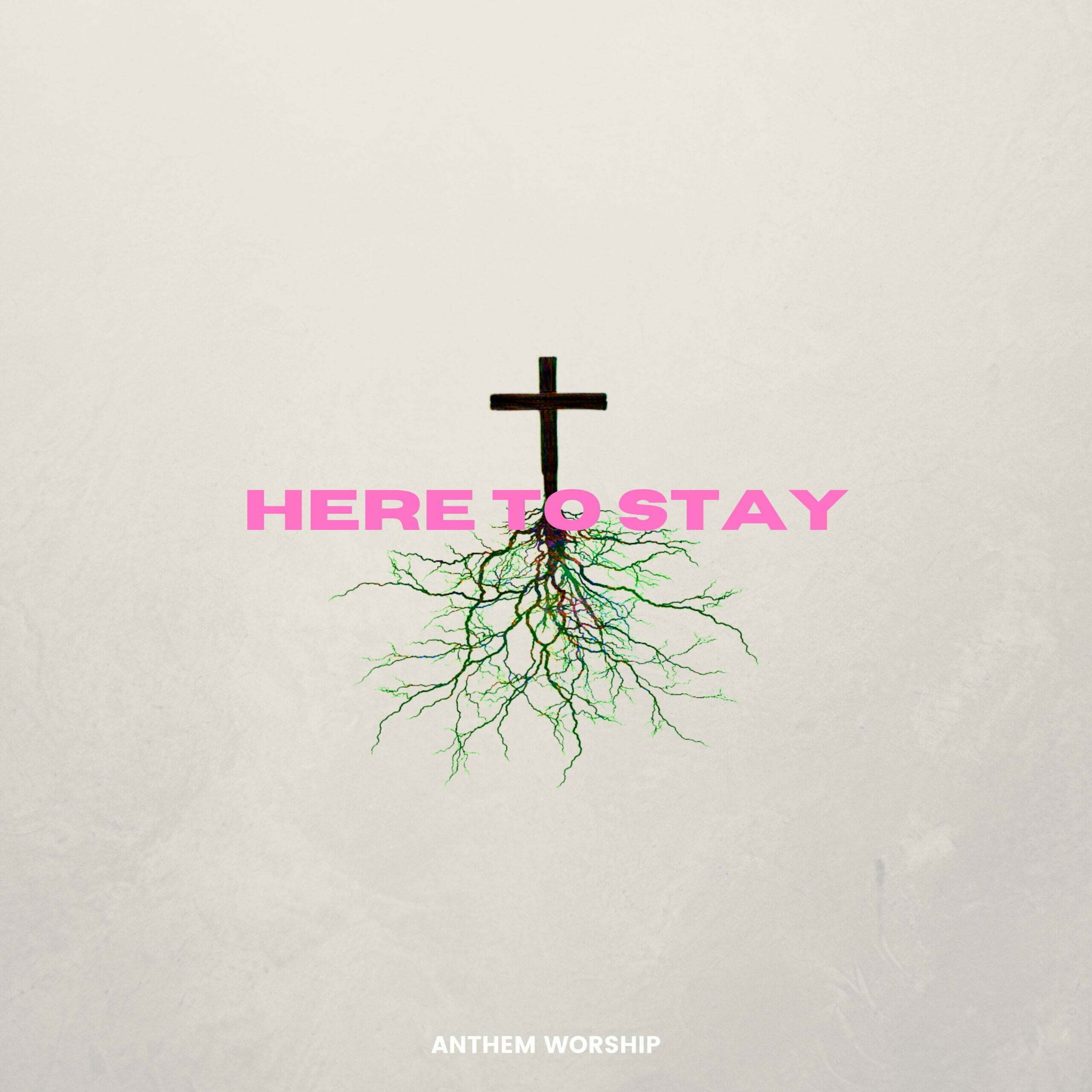 Here to Stay Studio Cover scaled